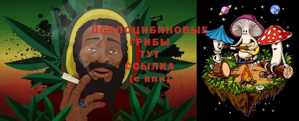 PSILOCYBIN Волоколамск