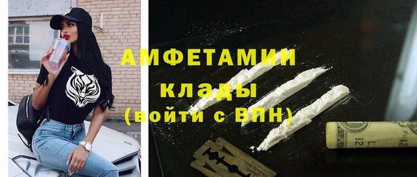 мдпв Вяземский
