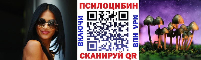 Галлюциногенные грибы Psilocybine cubensis купить наркотик Ельня