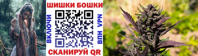 Каннабис гибрид  Ельня 